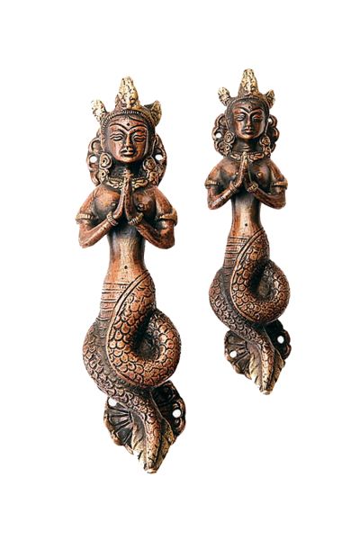 Nag Kanya Dorr Handle